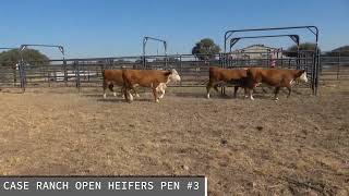 CASE RANCH OPEN HEIFERS PEN 3 [upl. by Frymire]