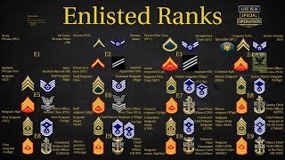 US Military All Branches ENLISTED Ranks Explained [upl. by Graf521]