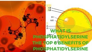 What Is Phosphatidylserine The Top 6 Benefits of Phosphatidylserine [upl. by Ahsam]