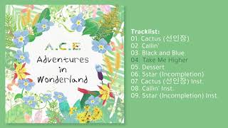 ACE 에이스  quotAdventures In Wonderlandquot 1st Full Repackaged Album [upl. by Qerat]