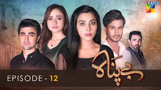 Bepanah  Episode 12   Eshal Fayyaz  Khaqan Shahnawaz  Kanwal Khan  5th November 2022  HUM TV [upl. by Nyladnarb]