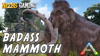 Ark Survival Evolved  Badass Mammoth [upl. by Marcille]