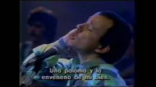 Silvio Rodriguez canta quotSueño Con Serpientesquot no programa quotChico e Caetanoquot em 1986 na TV Globo [upl. by Beaufert745]