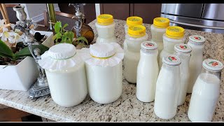 How to Make the Sweetest Homemade Milk Kefir even Sweeter [upl. by Ilyah679]