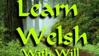 Learn Welsh with Will Ep12 quotI likequot  quotI dont likequot [upl. by Suellen67]