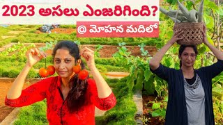 Successful In Many Gardening Experiments  మొదటి సారైనా సూపర్ సక్సెస్  Its a Dream Come True 💥🌹 [upl. by Kleon]