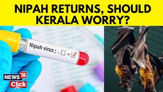 Explained What Is Nipah Virus Symptoms And Measures  Kerala news  English News  News18  N18V [upl. by Je]