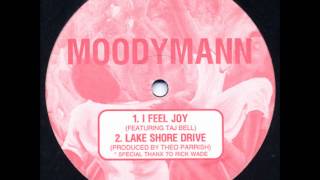 Theo Parrish amp Moodymann  Lake Shore Drive [upl. by Uliram]