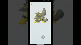 Shiny growlithe evaluationpokemongo shinypokemon letsgopikachu [upl. by Danni]