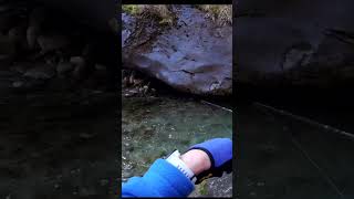 APERTURA TROTA TORRENTE 2024✅ troutfishing fishingvideo pesca pescaspinning torrente [upl. by Etneciv962]