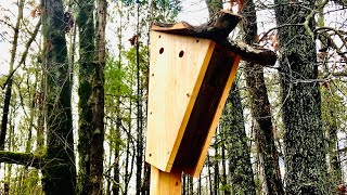 Peterson style bluebird nesting box [upl. by Ellebana]