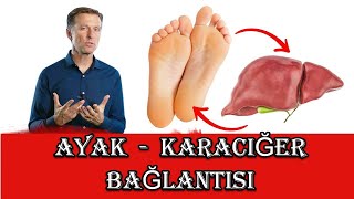 Ayaklarınızın Karaciğer Sorunlarınız Hakkında Size Söyleyebileceği 9 Şey – Dr Berg [upl. by Gerda]