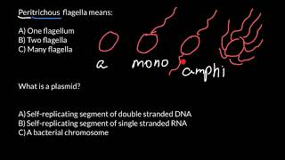 How to Memorize Names of the Different Types of Bacteria [upl. by Neyu]