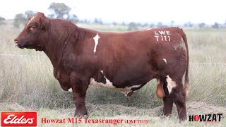 Lot 84 Howzat M15 Texasranger LWET111 [upl. by Pinebrook850]