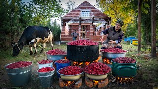 Preserving Flavor Making Delicious Dogwood Paste [upl. by Dupin]