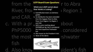 Episode 5 Ludong or Presidents Fish fisheries fisheriesscience fisheriesboardexam review [upl. by Selhorst388]