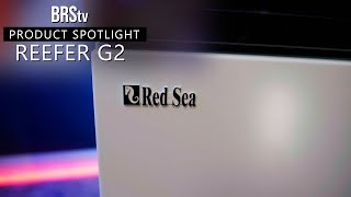 The PERFECT Reef Tank Blank Canvas Red Sea Reefer G2 Aquariums [upl. by Ahsen]