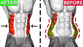 Dont Miss These 8 Perfect Oblique Exercises 🎯 [upl. by Munsey]