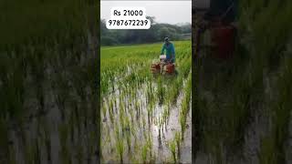 paddy weeder rs 13000 18000 21000 28000 35000 9787672239 melur madurai d TN india🇮🇳4 [upl. by Supen]