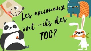 Les animaux ontils des TOC   STEREOTYPIES [upl. by Odysseus620]