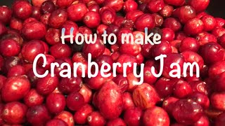 Toronto とCranberry Jam🍓試食した感想は？🇨🇦How about this Cranberry Jam🤔 [upl. by Ahso]