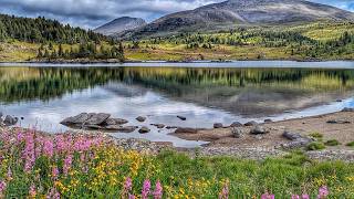 Exploring Banff Yoho Kootenay National Parks [upl. by Irot426]