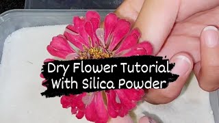 Dry Flower Tutorial Silica Powder Tutorial Resin diy tutorial silica silicagel dry flowers [upl. by Leamsi]