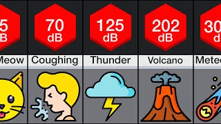 Comparison Loudest Sounds [upl. by Ahsiugal159]