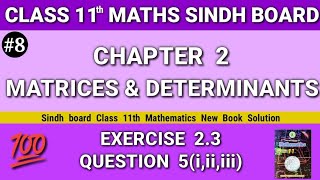 Class 11 maths sindh board New book Chapter 2 Exercise 23 Question 5iiiiii Matrices Determinant [upl. by Pierce550]