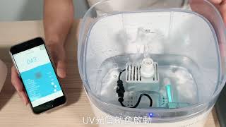 PETONEER UV 殺菌智能寵物飲水機 簡易教學 [upl. by Lokim]