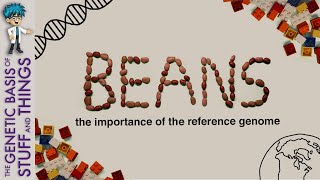 BEANS the importance of the reference genome [upl. by Leisam]