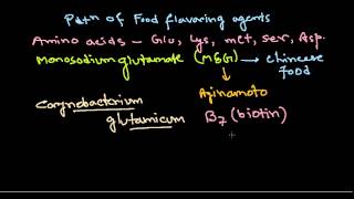 Monosodium glutamate production [upl. by Bills643]