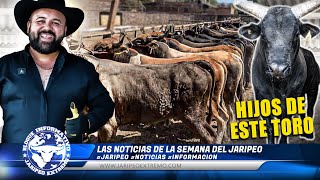 EL PIE DE CRIA DE RANCHO EL AGUAJE 🗞📰 [upl. by Schell]