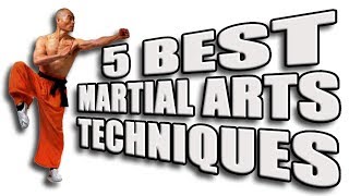 Top 5 Best Martial Arts Techniques [upl. by Rehpinej]