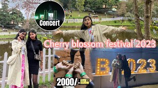 Cherry Blossom Festival 2023 🌸💗  Shillong Vlog with manuilaellee😍  Jenia Brahma [upl. by Ssirk908]