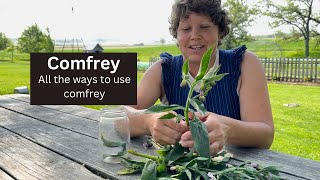 Comfrey How we use this controversial herb on the homestead [upl. by Barret341]