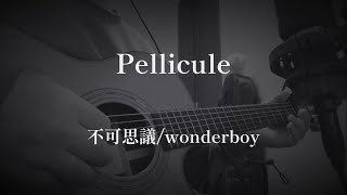 Pellicule（弾き語りcover） 不可思議wonderboy [upl. by Ymeon]