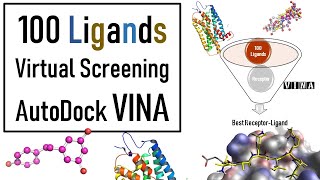 Molecular Docking  Autodock VINA Virtual Screening  VINA Docking tutorial  Bioinformatics [upl. by Elletnuahs]