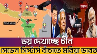 ভারত যেভাবে বাংলাদেশের কাছে জিম্মি  ভাঙ্গতে পারে ভারত চিকেন নেক নিয়ে বিপাকে ইন্ডিয়া  Chicken neck [upl. by Zacek]