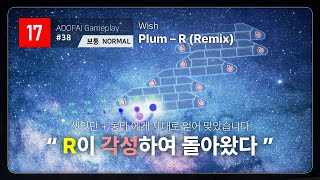 R이 각성하여 돌아왔다  Wish  Plum R Remix 클리어 [upl. by Nerta]