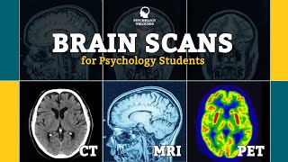 BRAIN SCANS FOR PSYCHOLOGY STUDENTS  CT MRI fMRI PET  Neuroscience [upl. by Eilak]