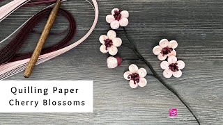 How to Make Quilling Paper Cherry Blossoms  Spring Paper Crafts  Quilling for Beginners [upl. by Derek]