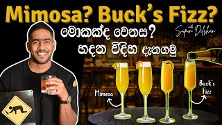 කොහොමද mimosa එකක් හදන්නේ  How to make mimosa cocktail  champagne cocktail [upl. by Eilla]