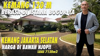 Berasa di istana Bogor Luas 7120 m2  Harga dibawah NJOP  Kemang Jaksel [upl. by Nylhsoj]