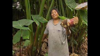 Pohnpei and their Traditional Foods [upl. by Liagiba15]