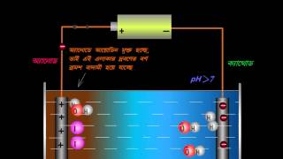 Electrolysis of Aq Potassium Iodide Soln  BENGALI Version [upl. by Aman273]