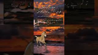 Surah E Rehmanmoozibimarizehani biari sukoon k liye Subha shamsurah Rehman ki tilawat sune [upl. by Tish183]