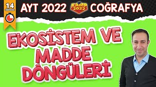 Ekosistem ve Madde Döngüleri  AYT Coğrafya Kamp2022 [upl. by Ingram12]