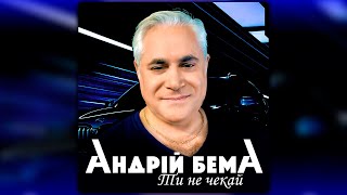 Андрій Бема  Ти не чекай [upl. by Ahsiekam]