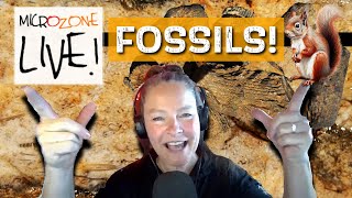 Fossil and Deathplate MICROZONE Friday Night LIVE [upl. by Eniarol19]